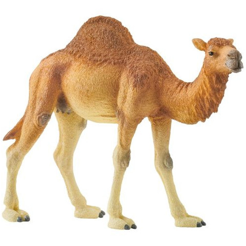 schleich_wild_life_14832_dromedary_4059433039671_oferta