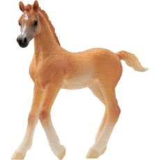 schleich_horse_club_13984_arabian_foal_4059433753690_oferta