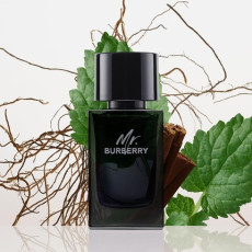mr._burberry_eau_de_perfume_vaporizador_100ml_5045497416243_promocion