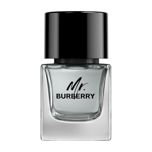 burberry_mr.burberry_eau_de_toilette_50ml_vaporizador_3614229840117_oferta