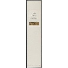 oribe_gold_lust_champú_en_seco_300ml_0811913019726_promocion