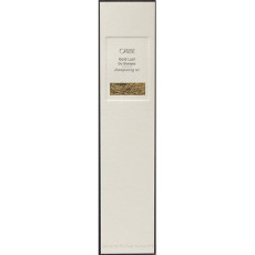 oribe_gold_lust_champú_en_seco_300ml_0811913019726_promocion