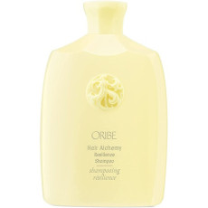 oribe_hair_alchemy_resilience_champu_260ml_0840035213811_oferta