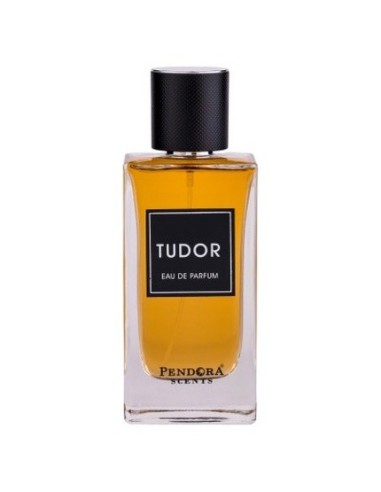 pendora_scents_tudor_eau_de_parfum_100ml_para_hombre_6423080723609_oferta