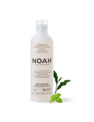 noah_te_verde_champu_purificante_1000ml_8034063520566_oferta