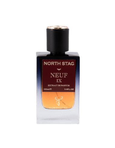 emir_paris_corner_north_stag_neuf_ix_extrait_de_parfum_unisex_100ml_ambarino_6255956522302_oferta